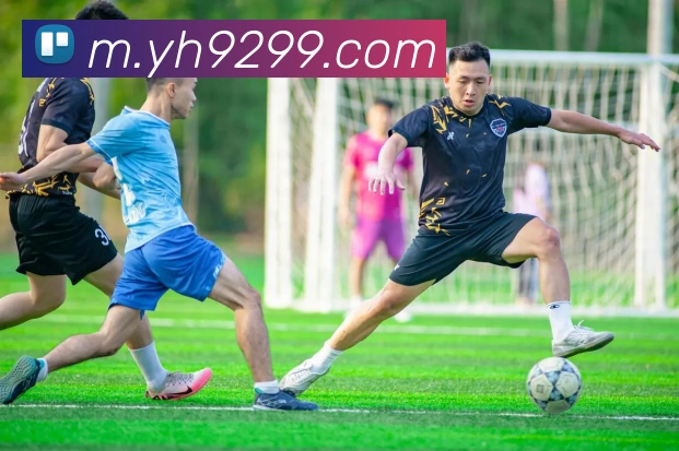 企业概况